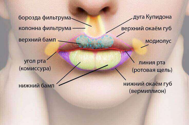 Увеличение губ: противопоказания и побочные эффекты