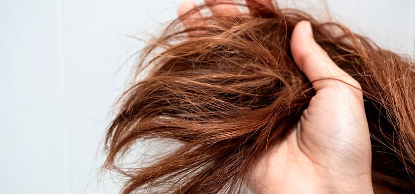 Лечение секущихся концов: как справиться с сухими, расслаивающимися волосами